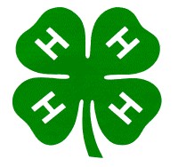 4-h_clover.jpg